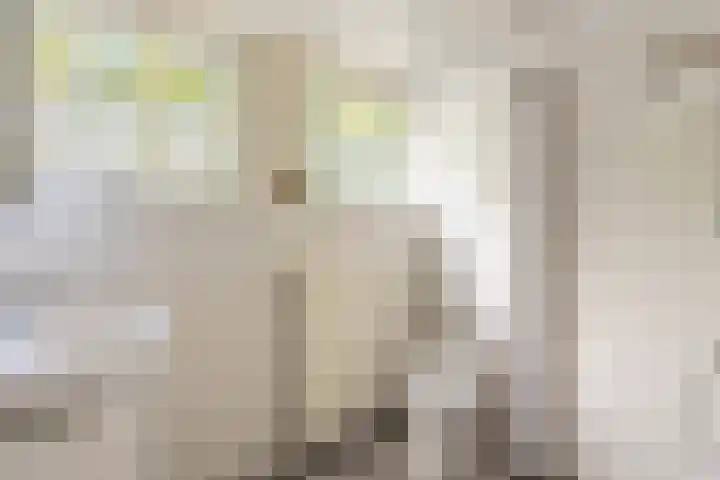 Jan van der Heijdenstraat 195 Hilversum thumbnail 21