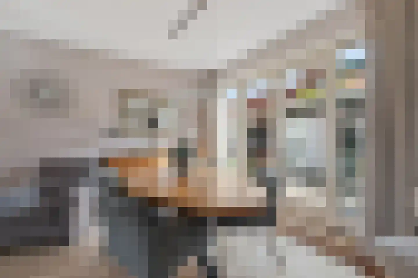 Jan van der Heijdenstraat 199 A Hilversum thumbnail 6