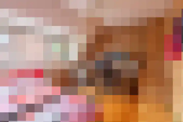 Jan van der Heijdenstraat 2 Hilversum thumbnail 17