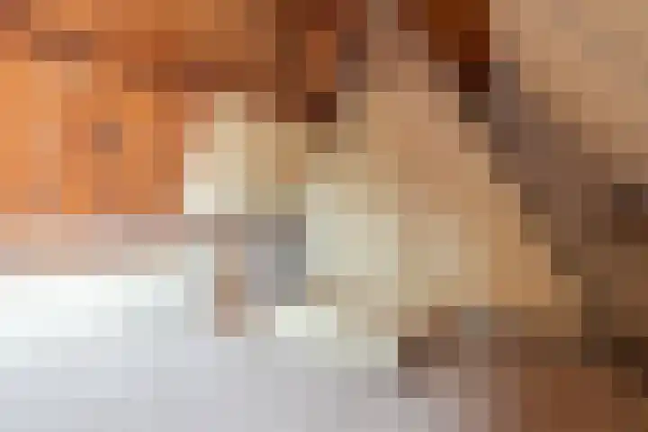 Jan van der Heijdenstraat 2 Hilversum thumbnail 22