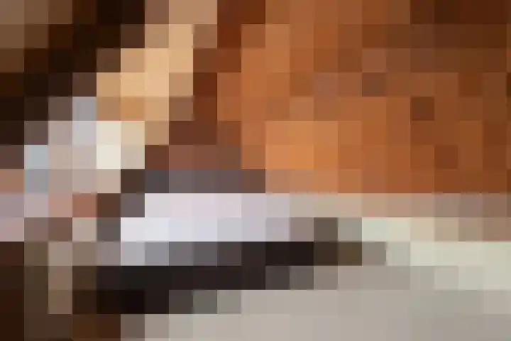 Jan van der Heijdenstraat 2 Hilversum thumbnail 23