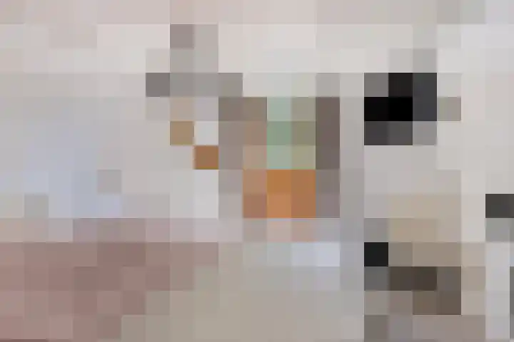 Jan van der Heijdenstraat 22 Gouda thumbnail 18
