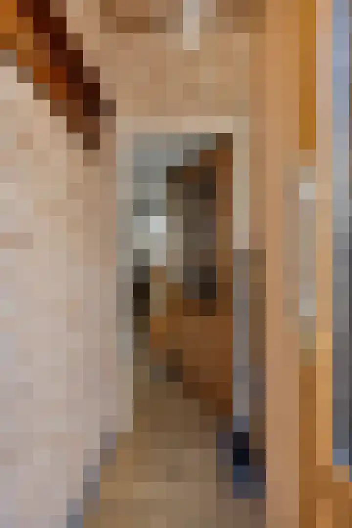 Jan van der Heijdenstraat 22 Gouda thumbnail 8