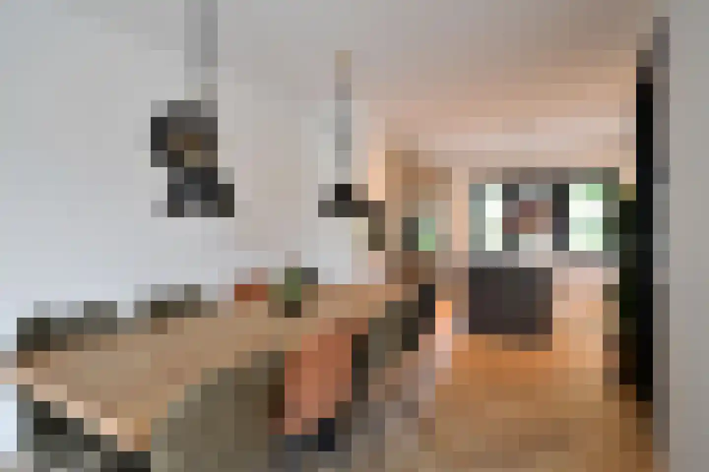 Jan van der Heijdenstraat 224 Hilversum thumbnail 11