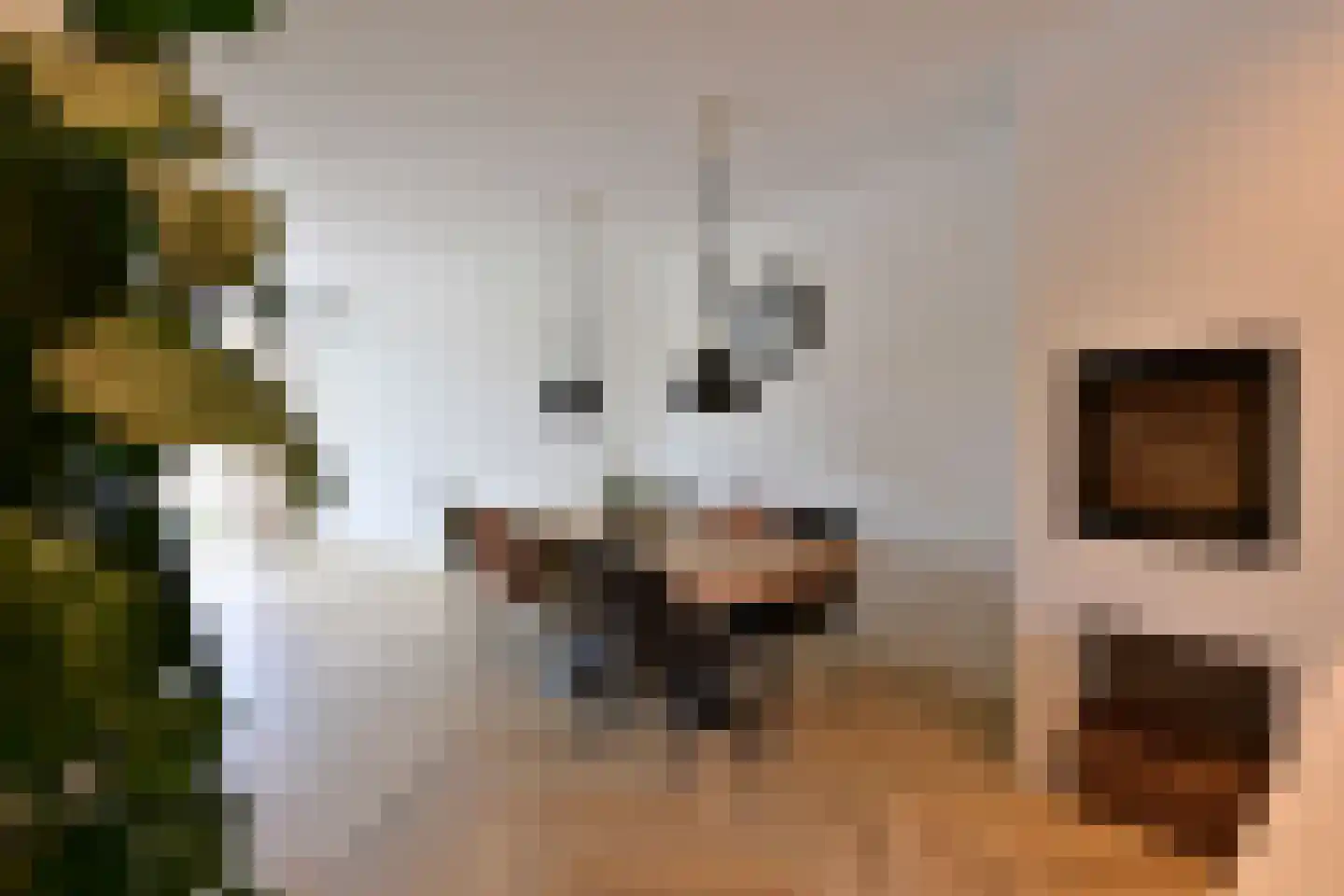 Jan van der Heijdenstraat 224 Hilversum thumbnail 12