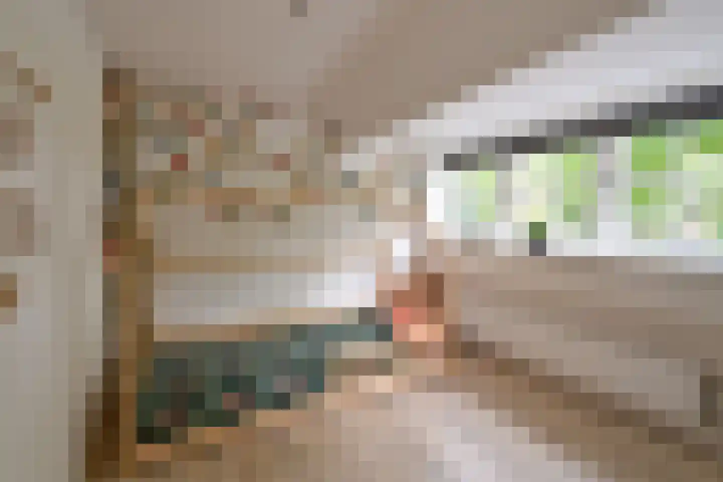 Jan van der Heijdenstraat 224 Hilversum thumbnail 17