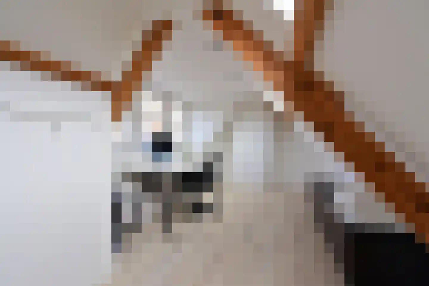 Jan van der Heijdenstraat 224 Hilversum thumbnail 21