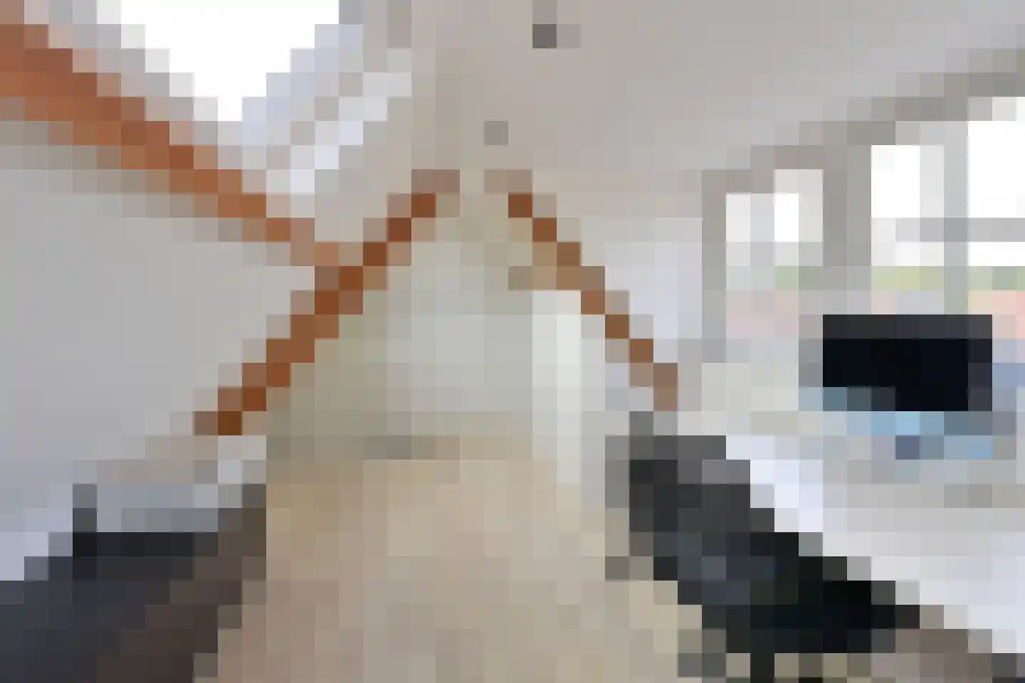 Jan van der Heijdenstraat 224 Hilversum thumbnail 22