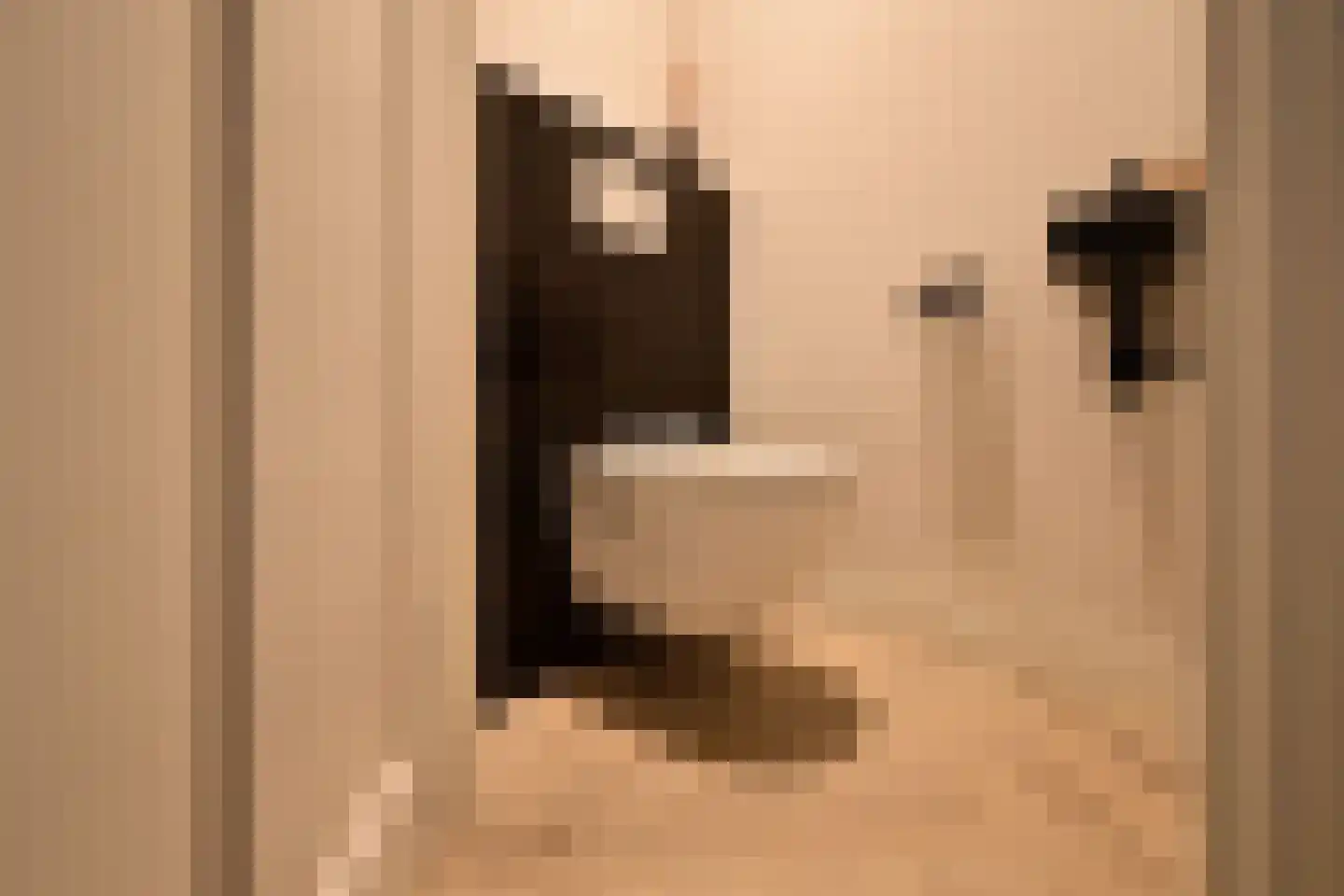 Jan van der Heijdenstraat 224 Hilversum thumbnail 6