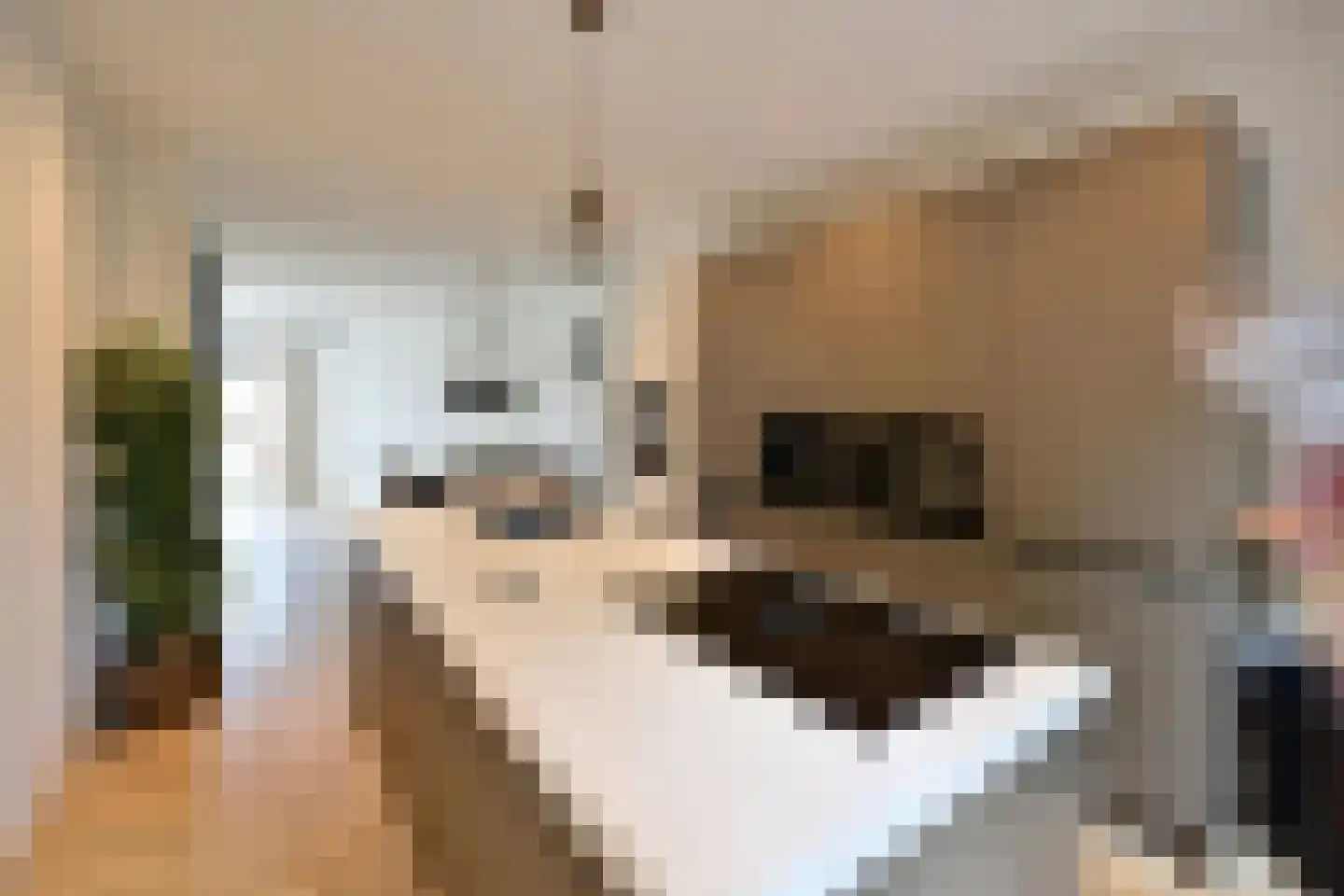 Jan van der Heijdenstraat 224 Hilversum thumbnail 9