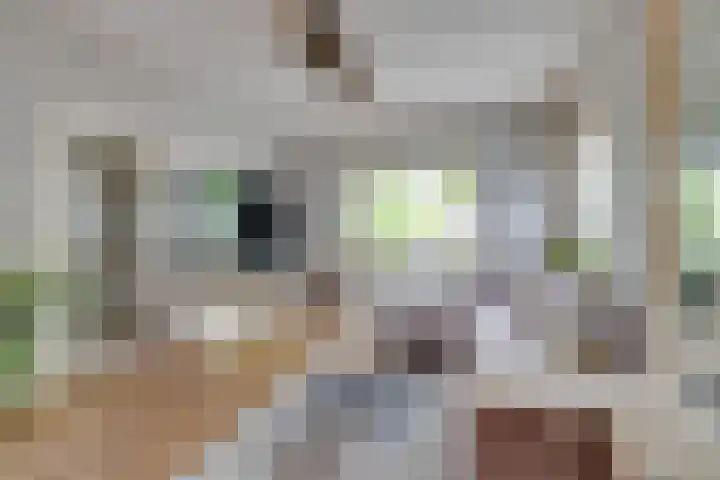 Jan van der Heijdenstraat 245 Hilversum thumbnail 11