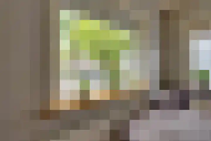 Jan van der Heijdenstraat 245 Hilversum thumbnail 14