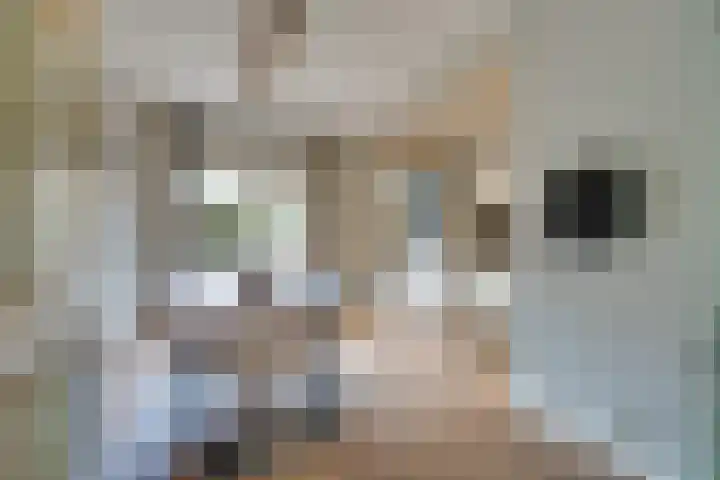 Jan van der Heijdenstraat 245 Hilversum thumbnail 16