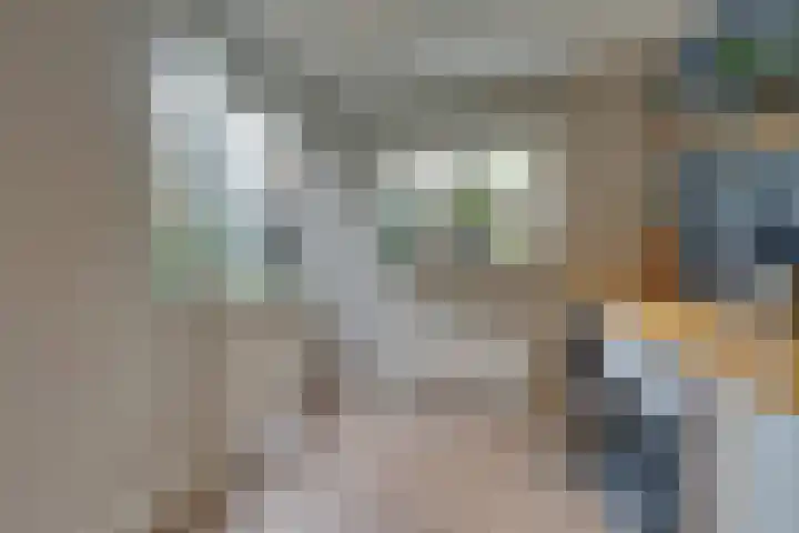 Jan van der Heijdenstraat 245 Hilversum thumbnail 26