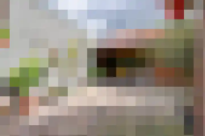 Jan van der Heijdenstraat 245 Hilversum thumbnail 28