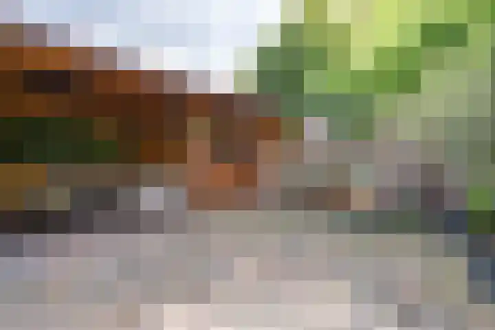 Jan van der Heijdenstraat 245 Hilversum thumbnail 29