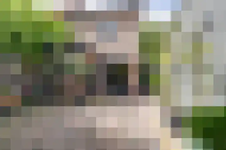 Jan van der Heijdenstraat 245 Hilversum thumbnail 33