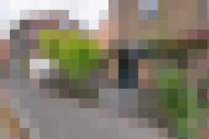 Jan van der Heijdenstraat 245 Hilversum thumbnail 4