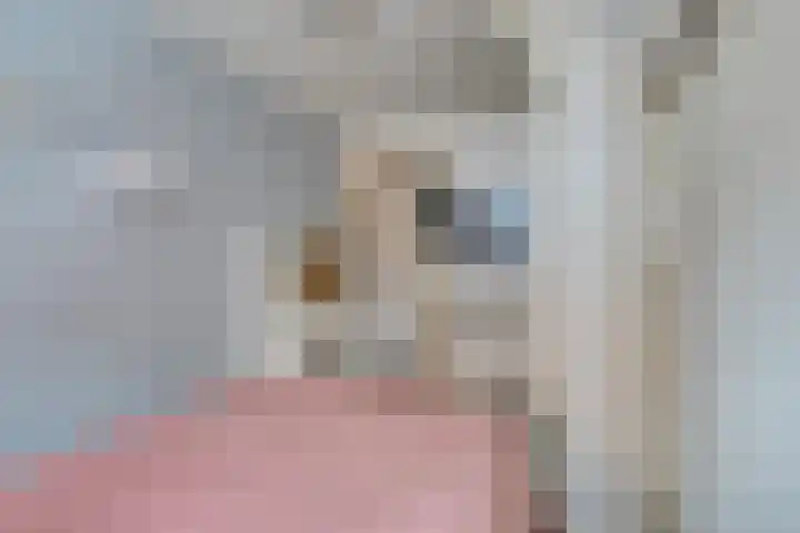 Jan van der Heijdenstraat 245 Hilversum thumbnail 42