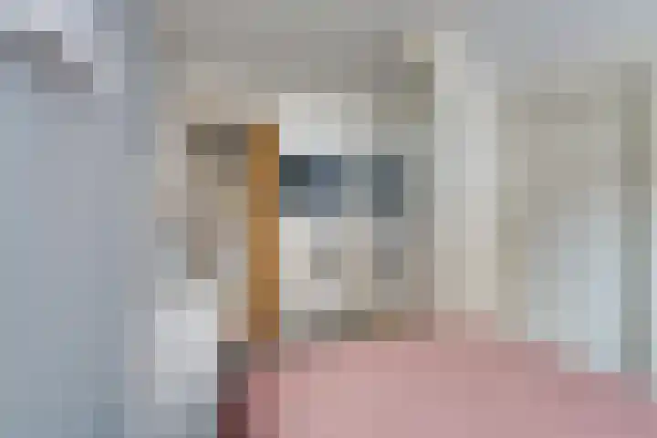 Jan van der Heijdenstraat 245 Hilversum thumbnail 43