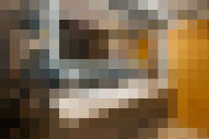 Jan van der Heijdenstraat 245 Hilversum thumbnail 45