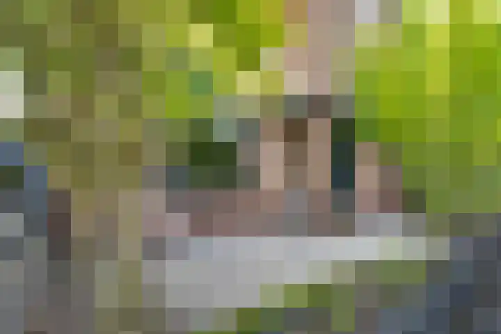 Jan van der Heijdenstraat 245 Hilversum thumbnail 5