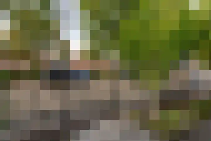 Jan van der Heijdenstraat 245 Hilversum thumbnail 6