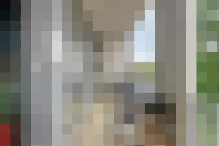 Jan van der Heijdenstraat 26 Tilburg thumbnail 13