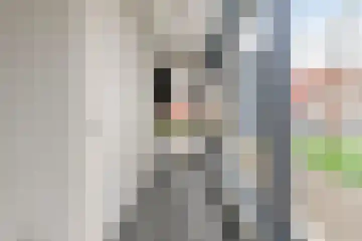 Jan van der Heijdenstraat 26 Tilburg thumbnail 34