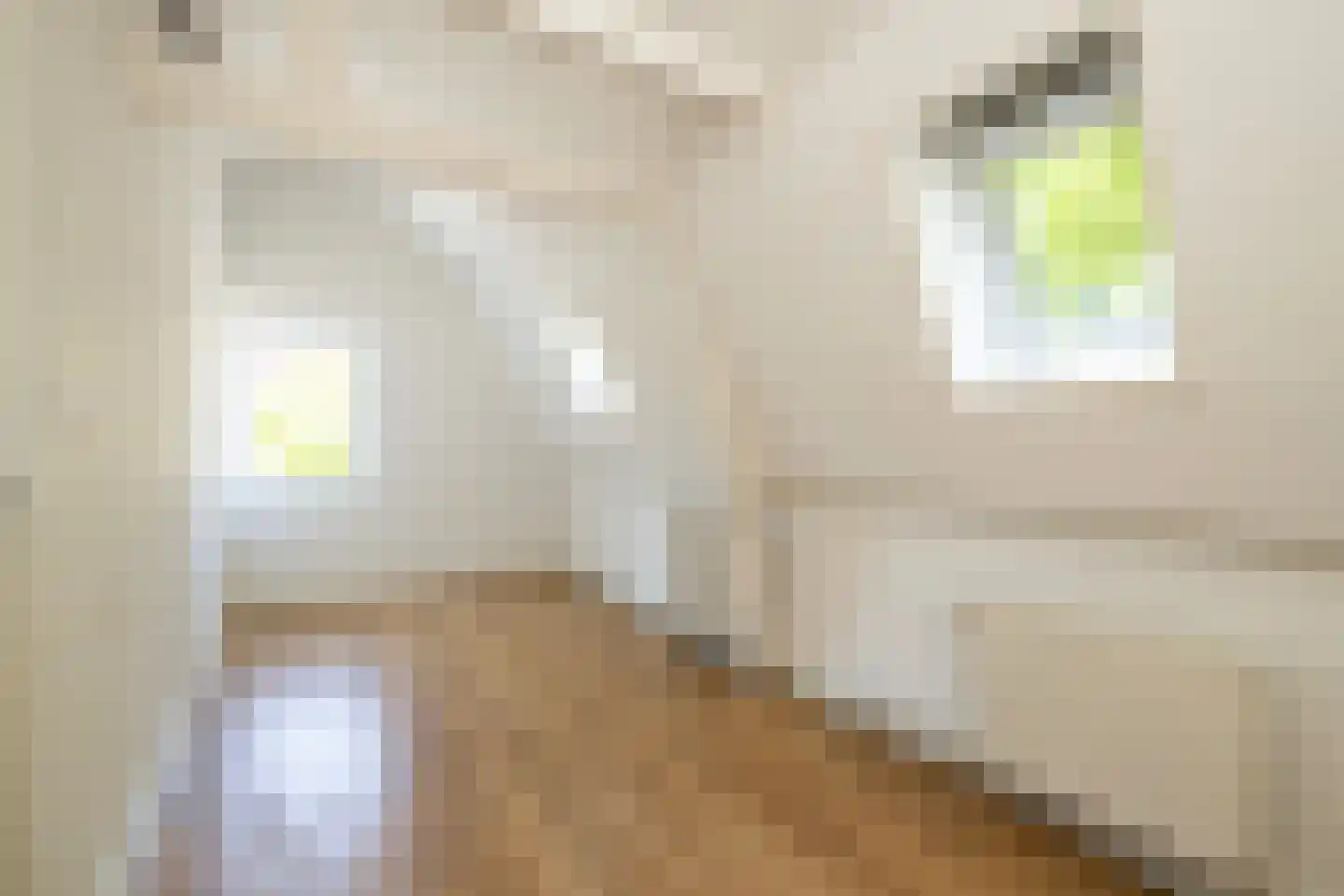 Jan van der Heijdenstraat 29 Gouda thumbnail 36