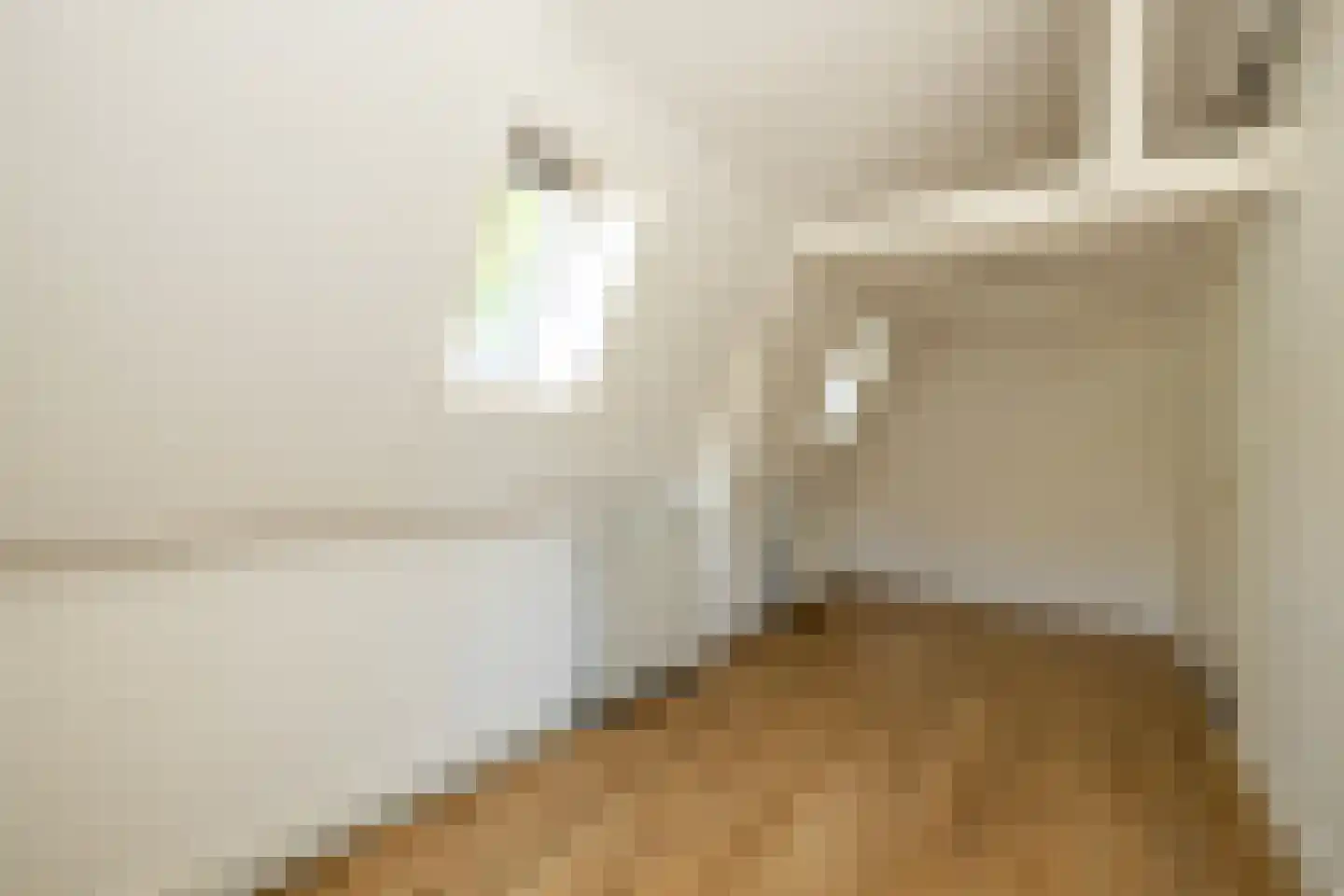 Jan van der Heijdenstraat 29 Gouda thumbnail 37