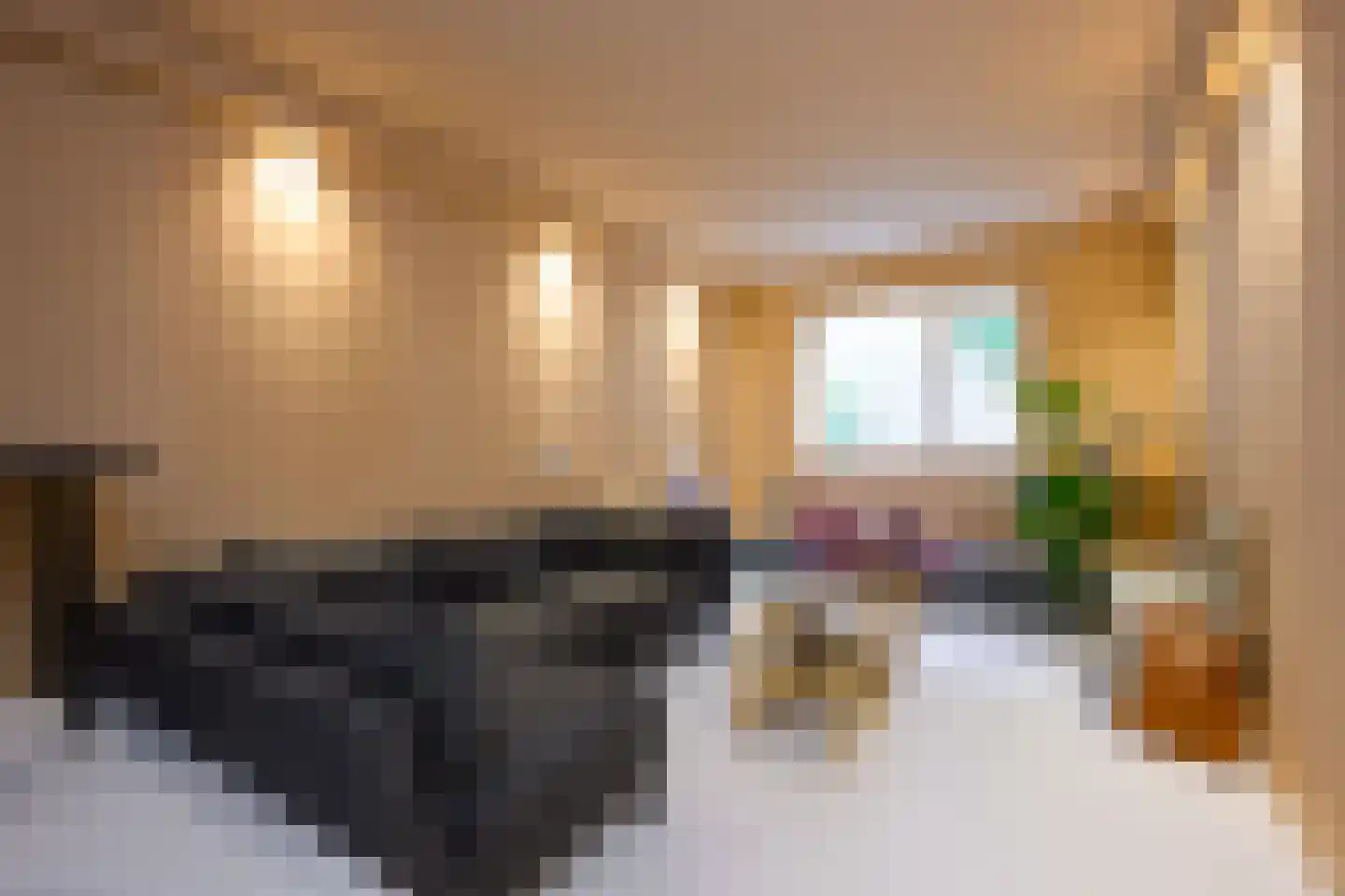 Jan van der Heijdenstraat 46 Hilversum thumbnail 20