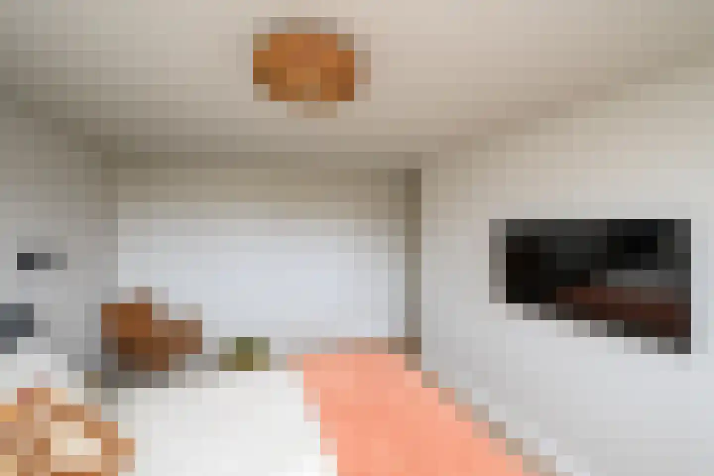 Jan van der Heijdenstraat 46 Hilversum thumbnail 26