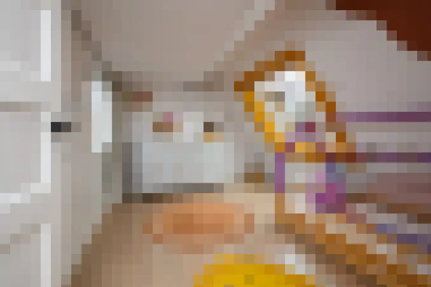 Jan van der Heijdenstraat 46 Hilversum thumbnail 35