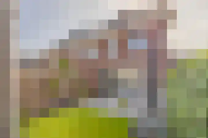 Jan van der Heijdenstraat 47 Gorinchem thumbnail 10