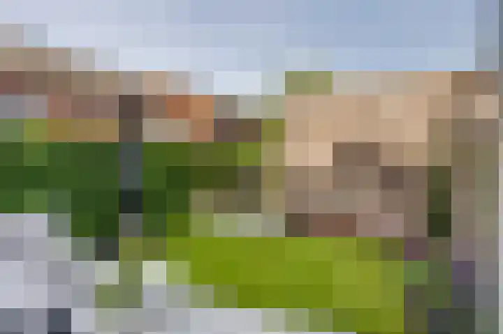 Jan van der Heijdenstraat 47 Gorinchem thumbnail 8