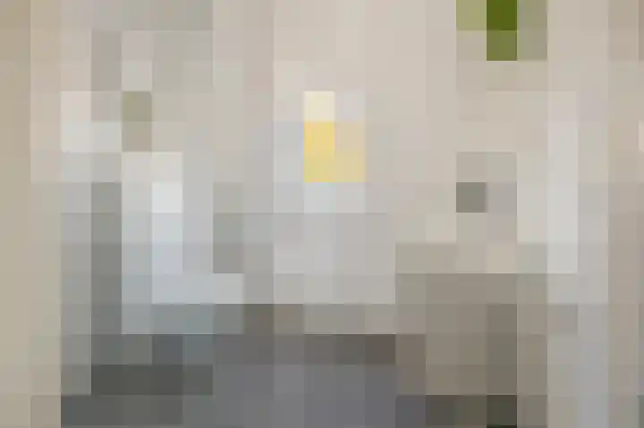 Jan van der Heijdenstraat 48 Gorinchem thumbnail 17