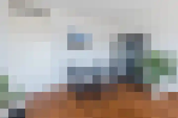Jan van der Heijdenstraat 54 Tilburg thumbnail 10