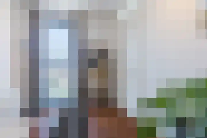 Jan van der Heijdenstraat 54 Tilburg thumbnail 17