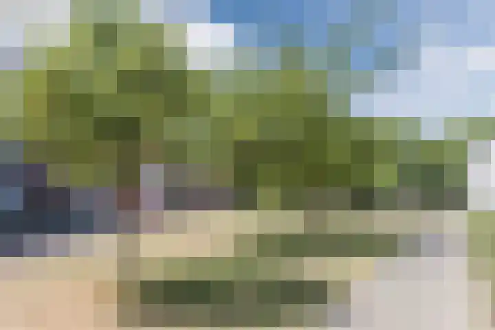 Jan van der Heijdenstraat 54 Tilburg thumbnail 32