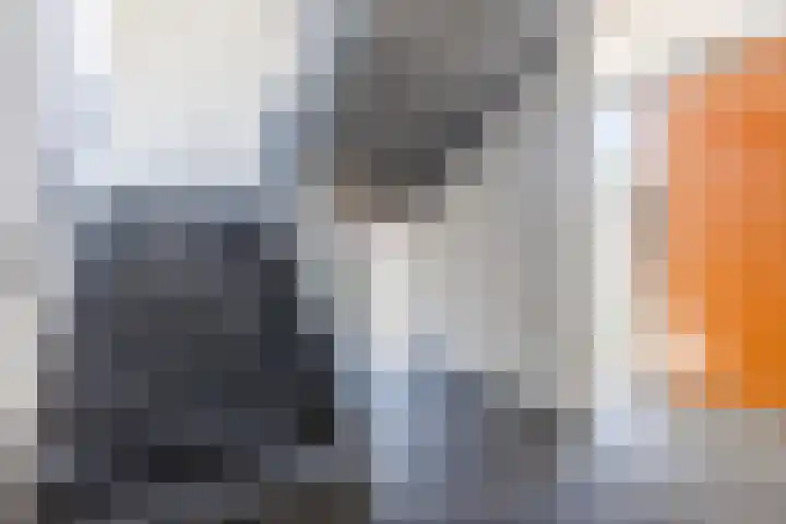Jan van der Heijdenstraat 54 Tilburg thumbnail 36