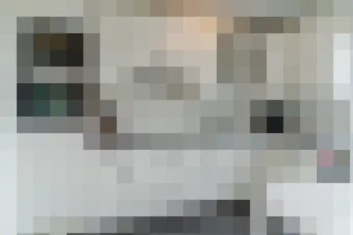 Jan van der Heijdenstraat 58 Tilburg thumbnail 12