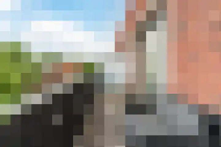 Jan van der Heijdenstraat 58 Tilburg thumbnail 8