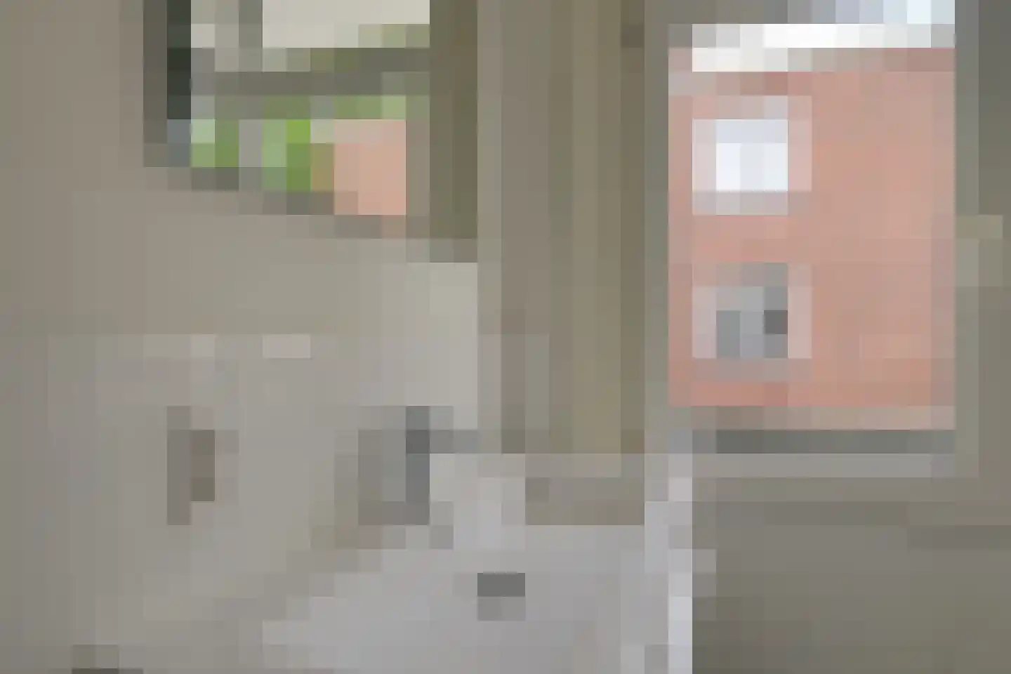 Jan van der Heijdenstraat 62 Den Haag thumbnail 10