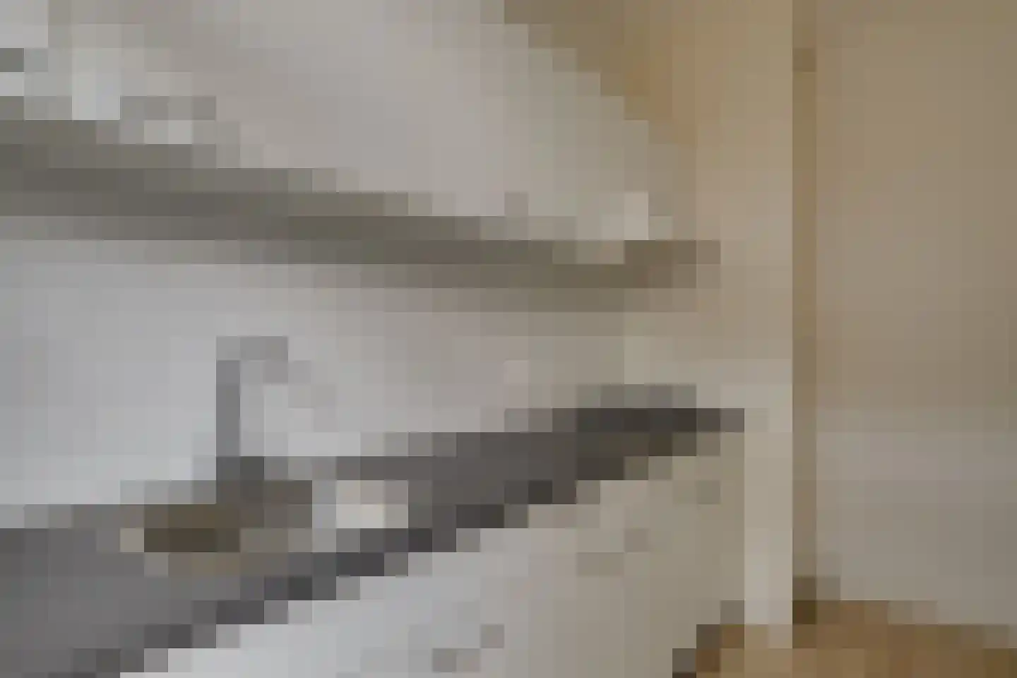 Jan van der Heijdenstraat 62 Den Haag thumbnail 12