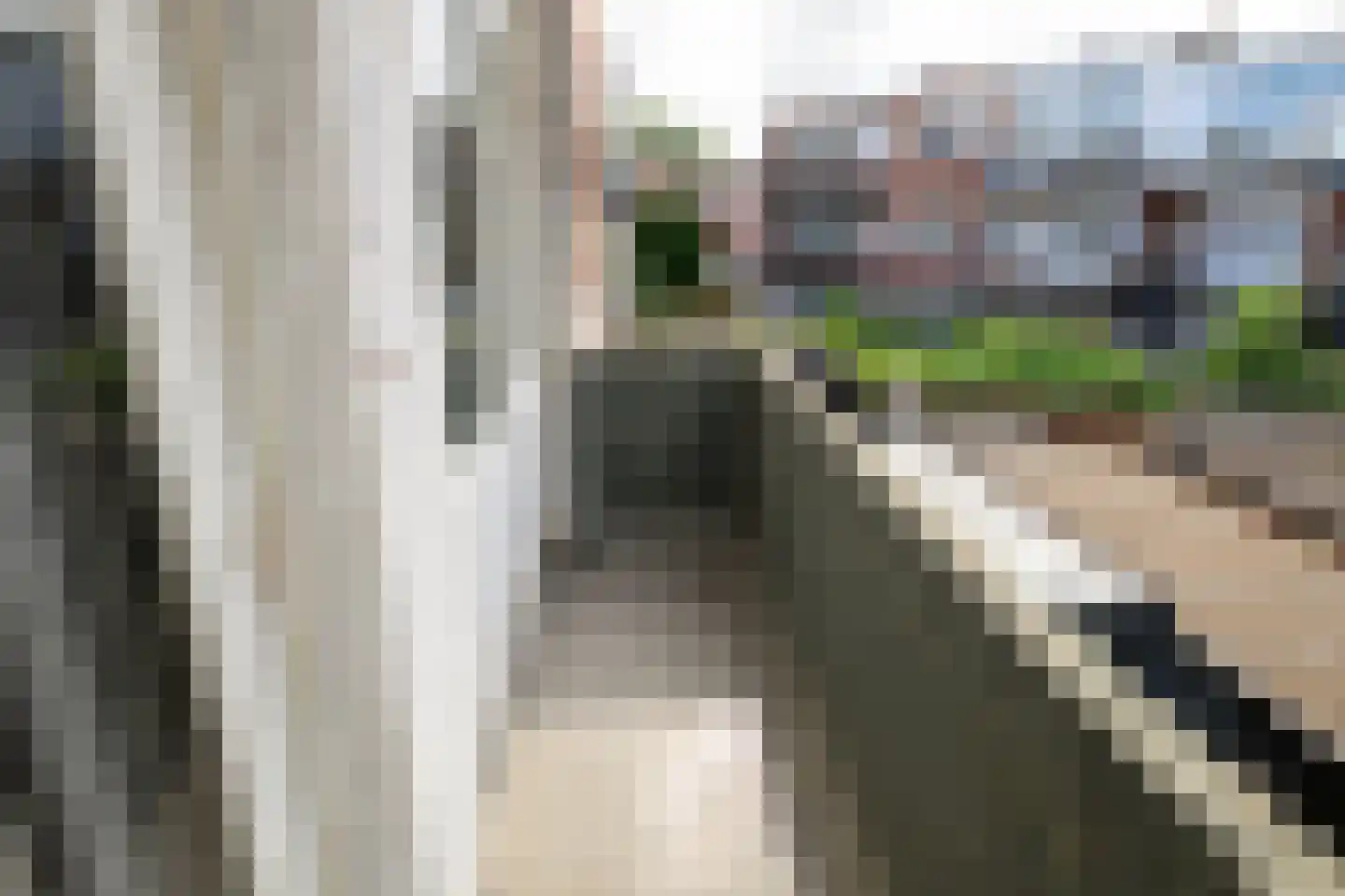 Jan van der Heijdenstraat 62 Den Haag thumbnail 14