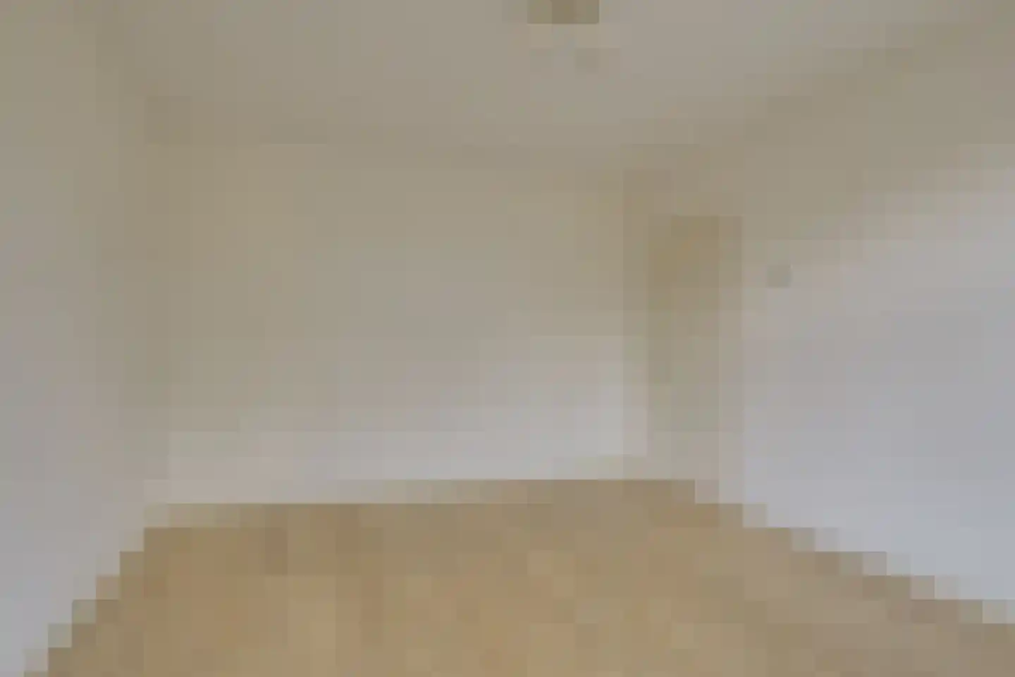 Jan van der Heijdenstraat 62 Den Haag thumbnail 8