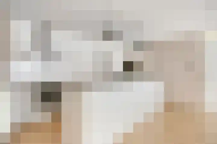 Jan van der Heijdenstraat 64 Tilburg thumbnail 10