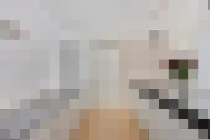 Jan van der Heijdenstraat 64 Tilburg thumbnail 11