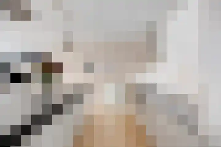 Jan van der Heijdenstraat 64 Tilburg thumbnail 12